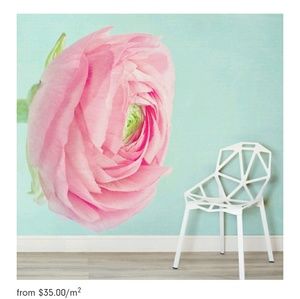 Meet your Posher, Jesus